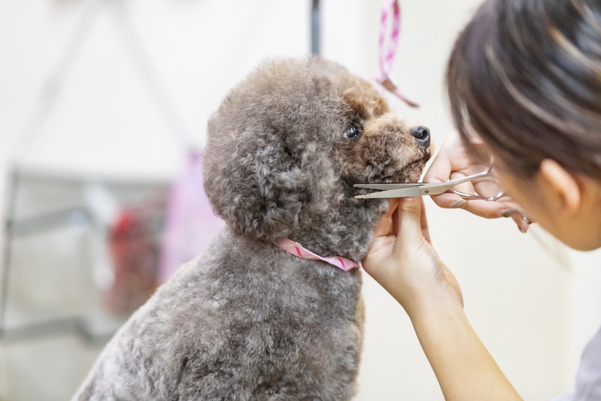 AdobeStock_319666318