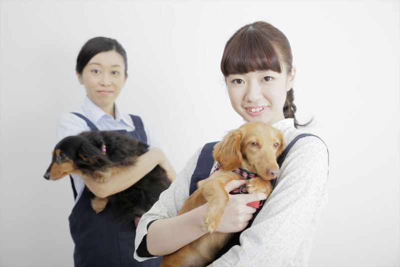 犬を抱えるトリマー
